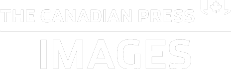 The page header's logo